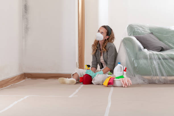Reliable Black Mold Remediation contractor in Levering, MI by Car Mold Remediation